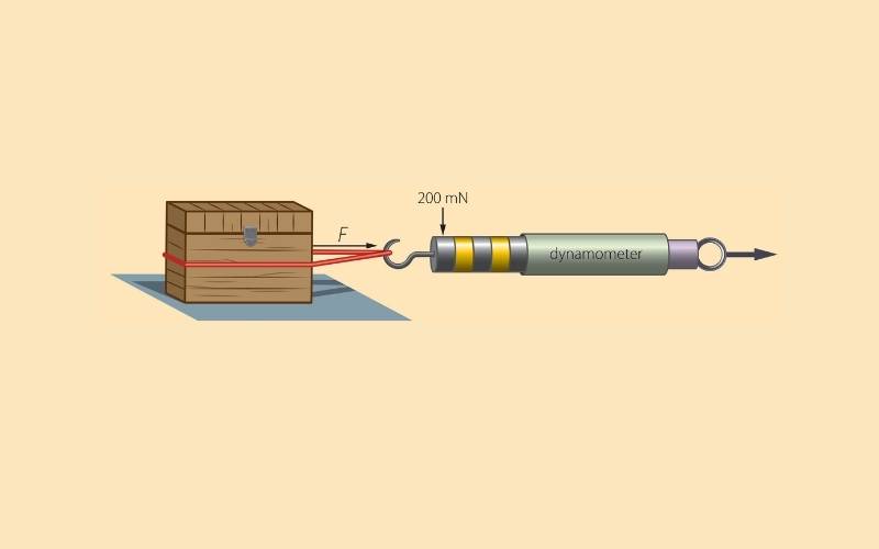 cách hoạt động của lực kế