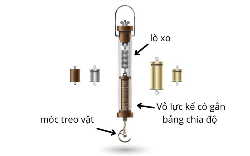 Cấu tạo lực kế