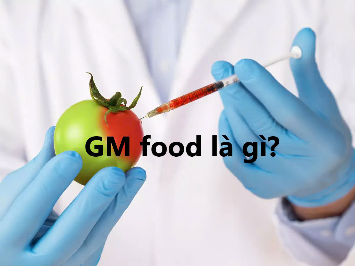 GM food là gì?