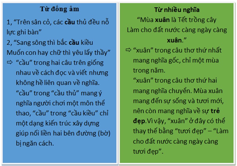 Phân loại từ đồng âm và từ nhiều nghĩa