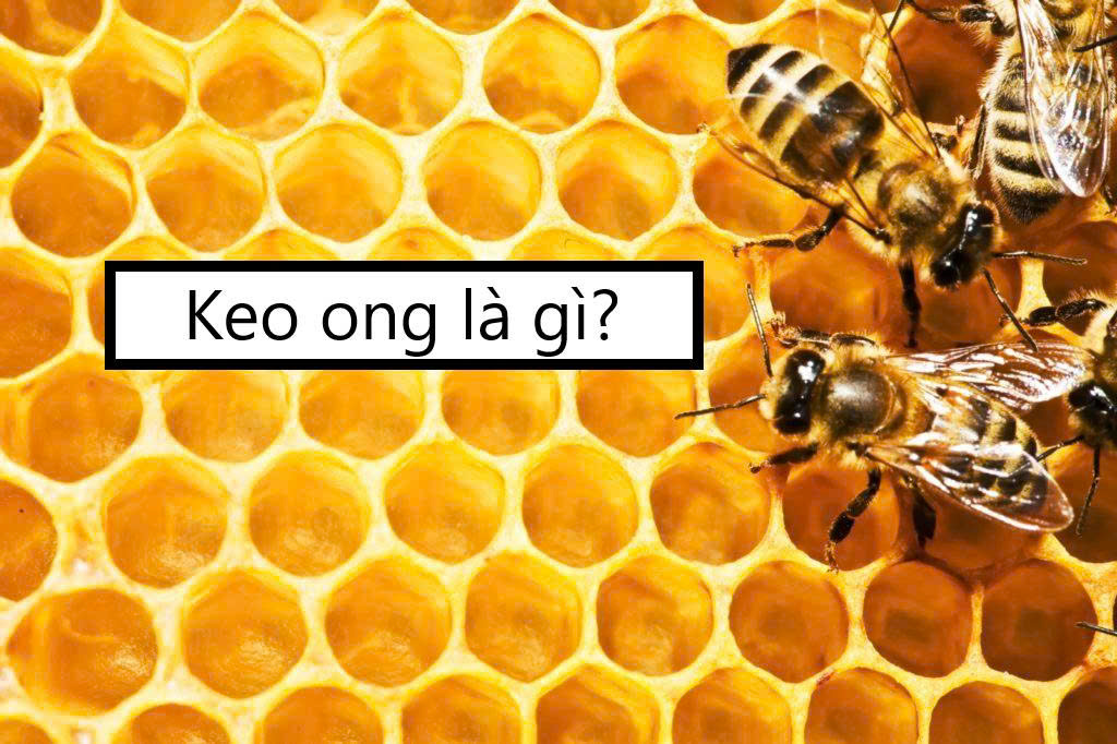 Keo ong là gì?