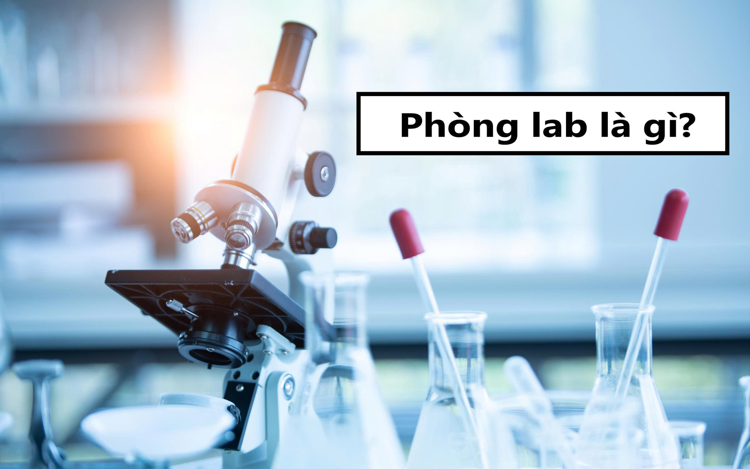 Phòng lab là gì?