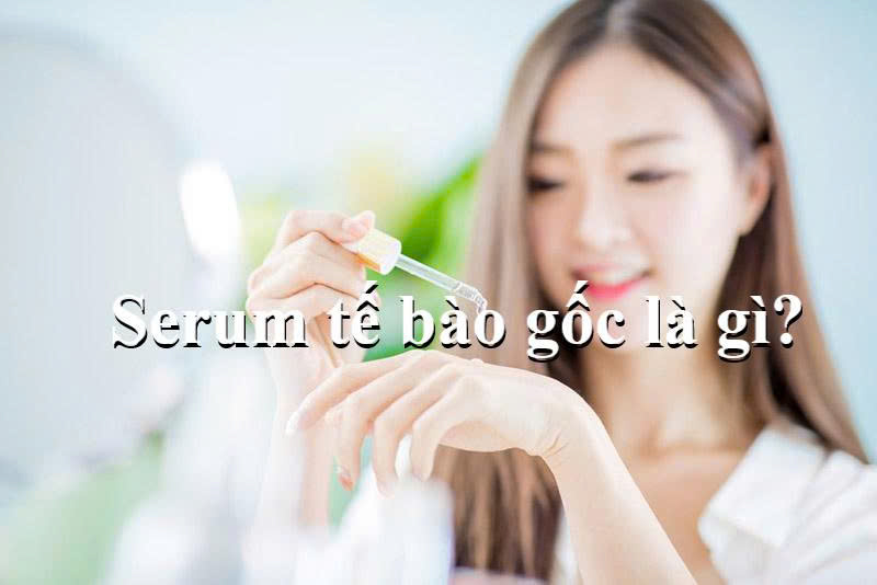 Serum tế bào gốc là gì/