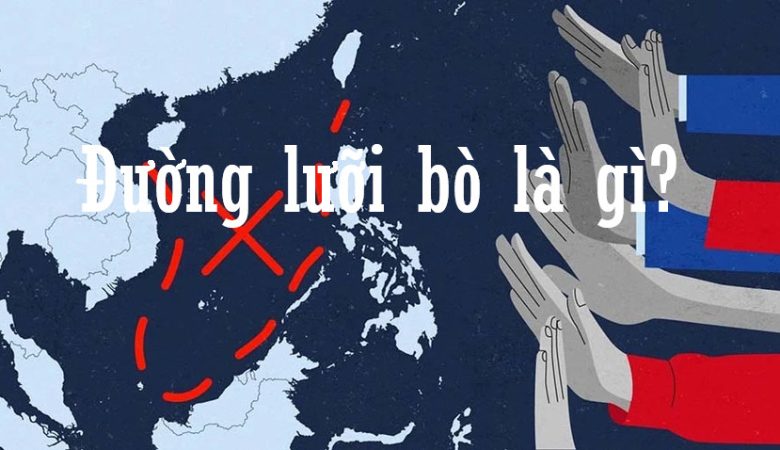 Đường lưỡi bò là gì?