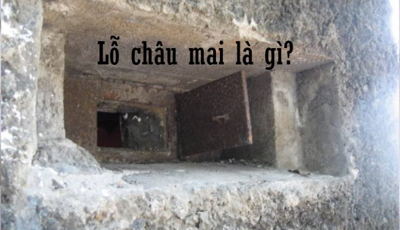 Lỗ châu mai là gì?