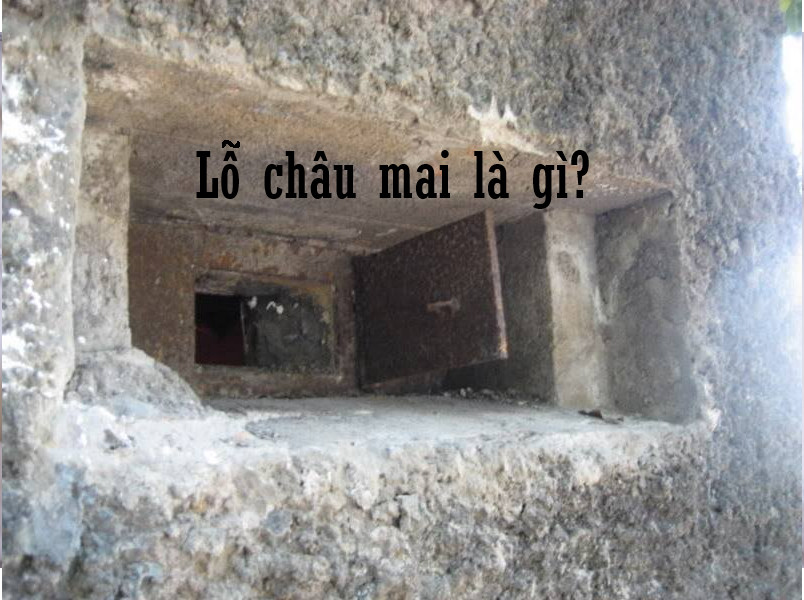 Lỗ châu mai là gì?