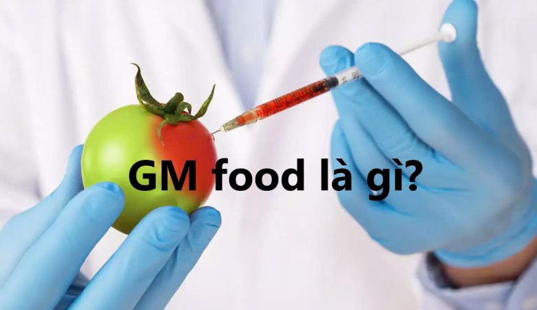 GM food là gì?