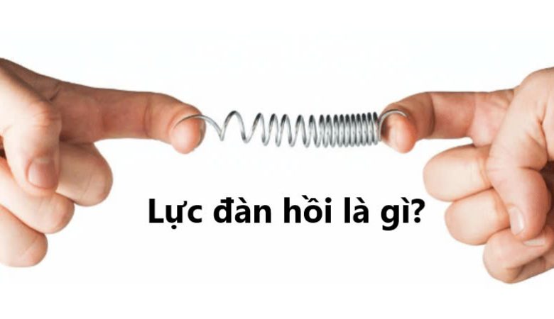 Lực đàn hồi là gì?