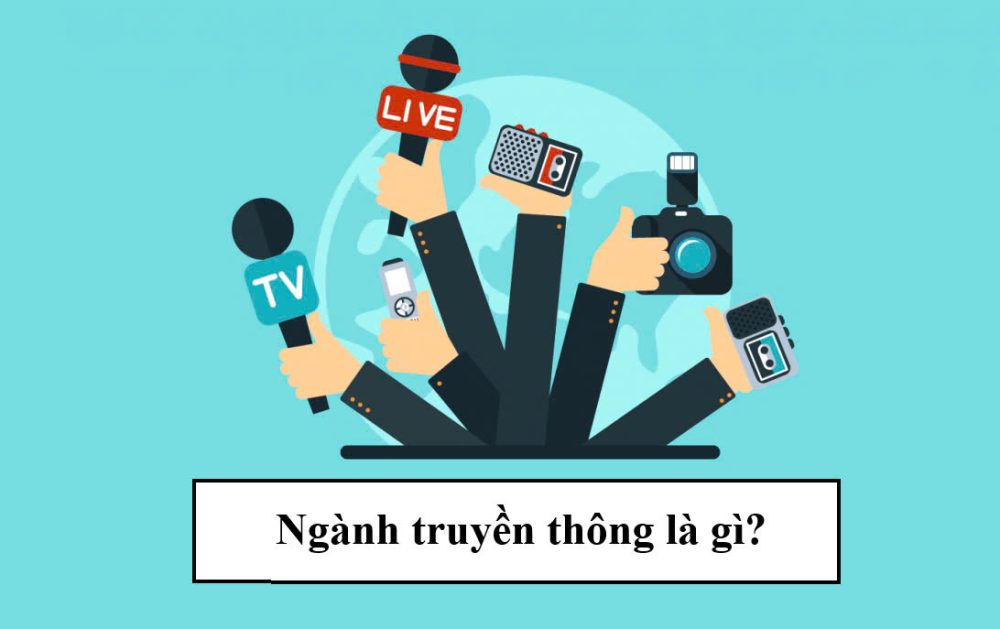 Ngành truyền tông là gì?