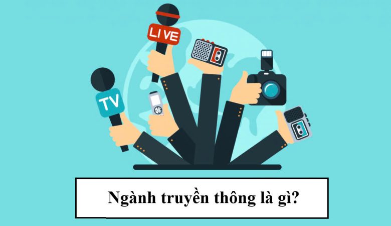 Ngành truyền tông là gì?