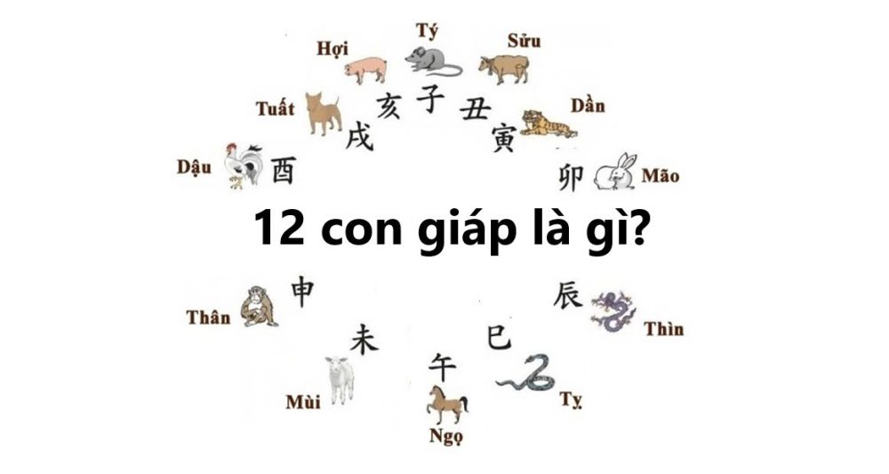 12 con giáp là gì?