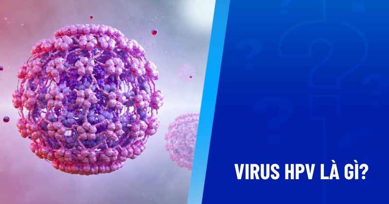 Virus HPV là gì?