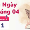 1/4 là cung gì?