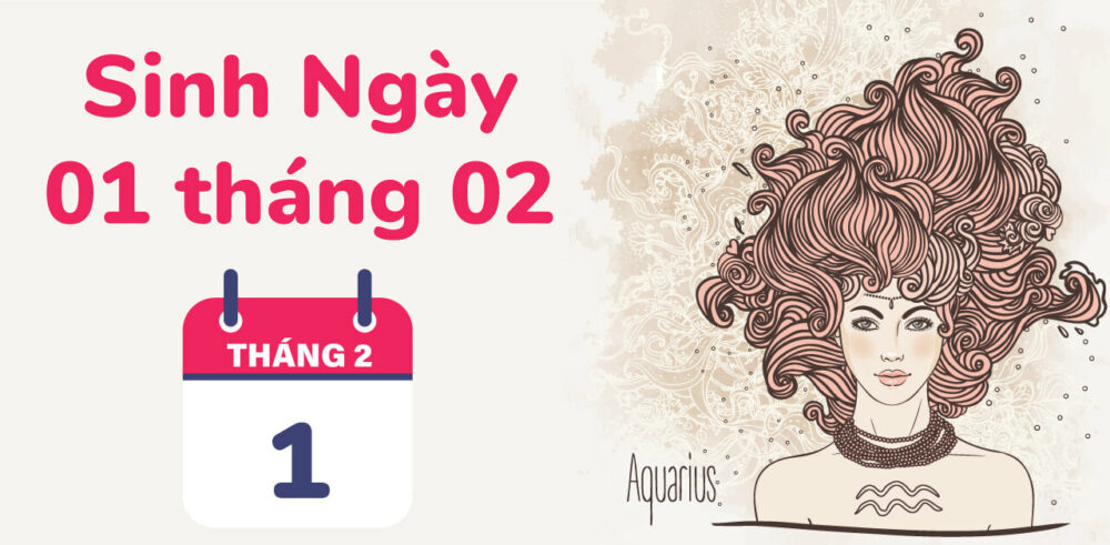1/2 là cung gì?