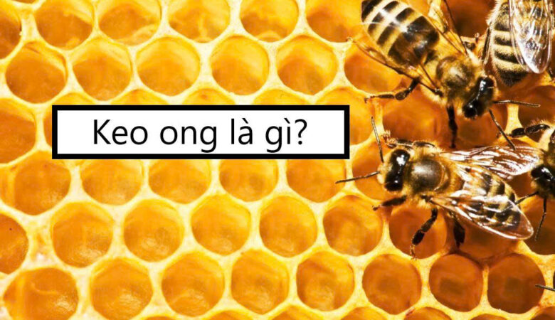 Keo ong là gì?