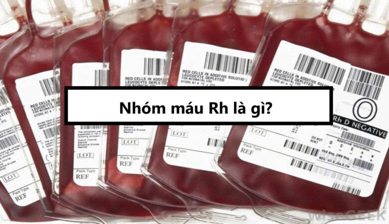 Nhóm máu Rh là gì?
