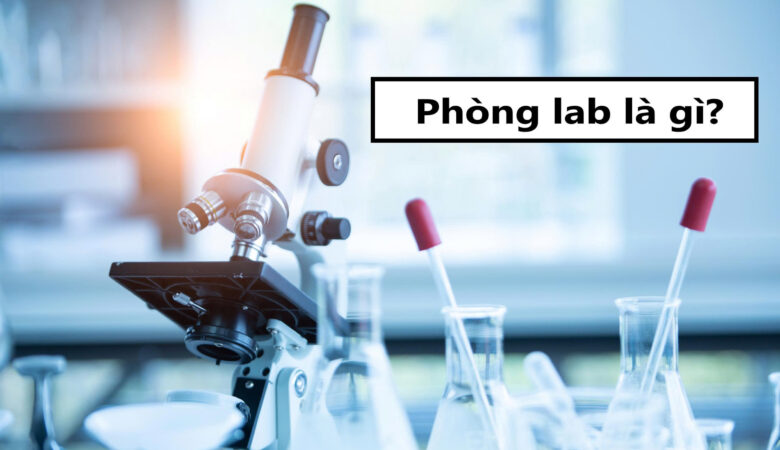 Phòng lab là gì?